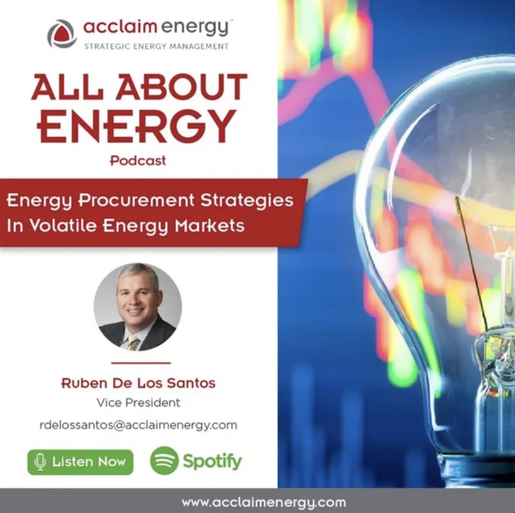 Energy Procurement Strategies